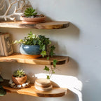 Floating Corner Wall Shelf – Live Edge Wooden Shelf for Home Decor & Aquarium