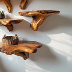 Handcrafted Rustic Mushroom Floating Shelf – Live Edge Wooden Wall Decor