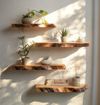 Live Edge Teak Root Floating Shelf – Rustic Wood for Plants, Books & Home Décor